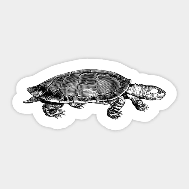 Tortoise Sticker by linesdesigns